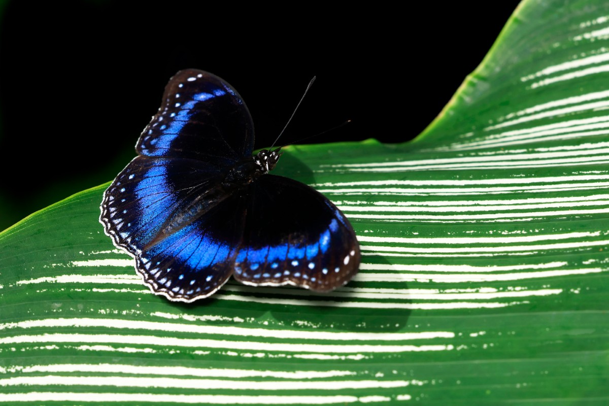 Photograph by David Clode on Unsplash