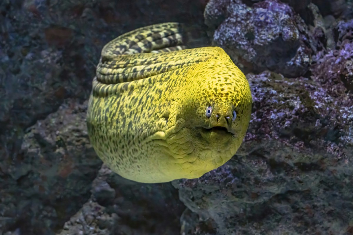 Nature close-up by David Clode on Unsplash