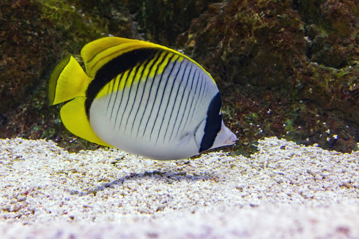 Photograph by David Clode on Unsplash