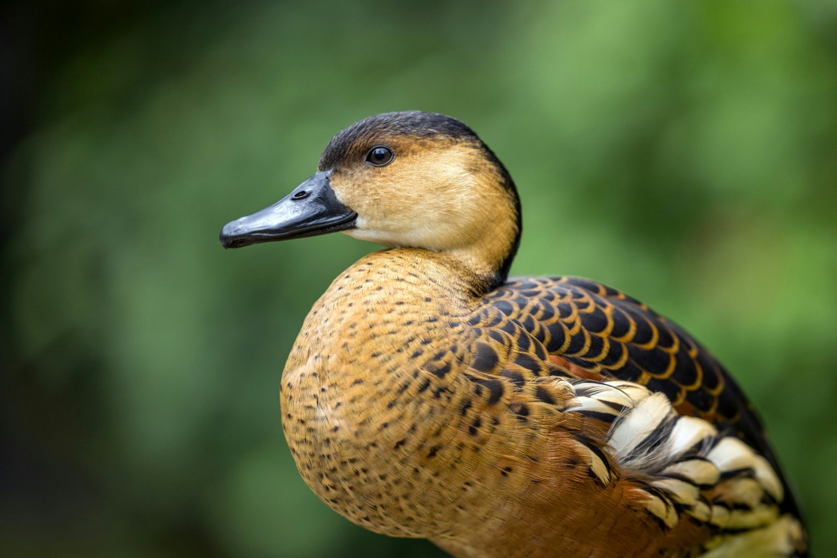 Photograph by David Clode on Unsplash