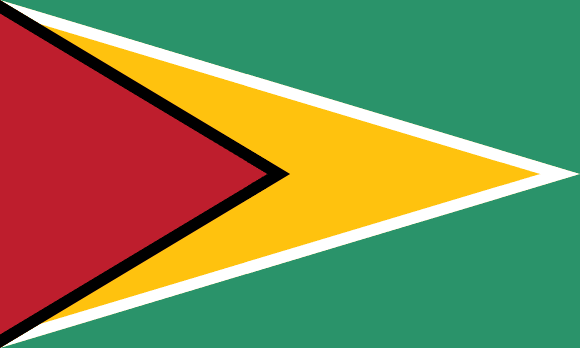 Flag of Guyana